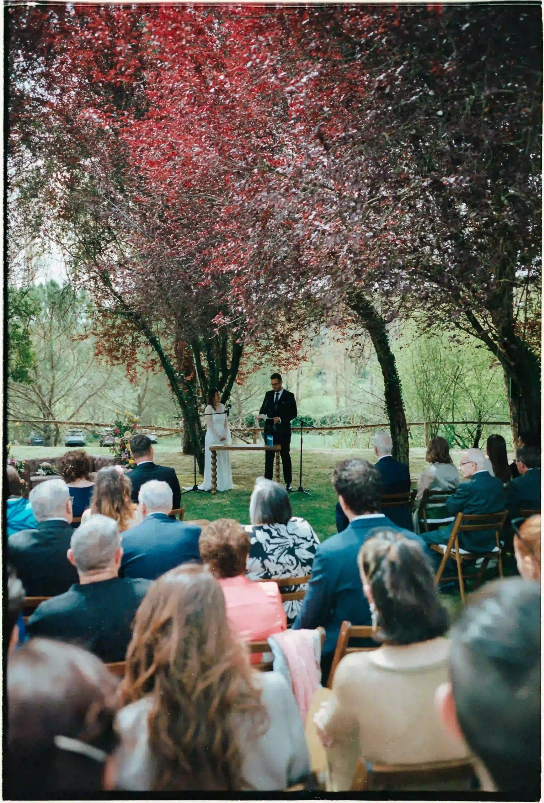 Guests seated on chairs watching the ceremony beneath purple and red leafed trees, film-style frame, Emma and Sergi’s wedding at El Jardí de Calders