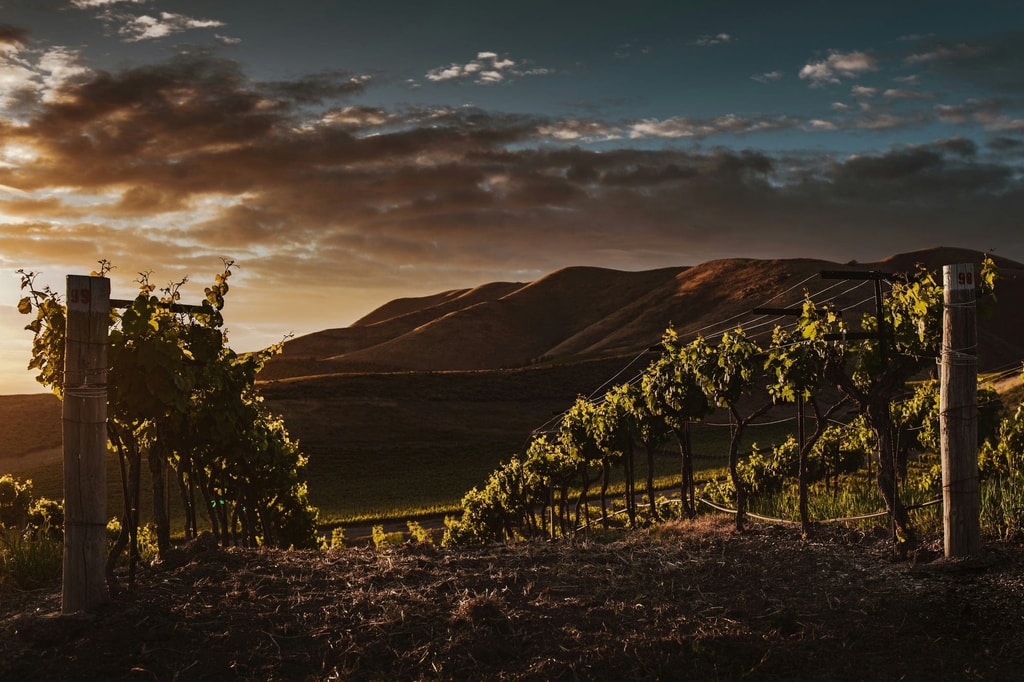 Una altra vista de Bodega Otazu