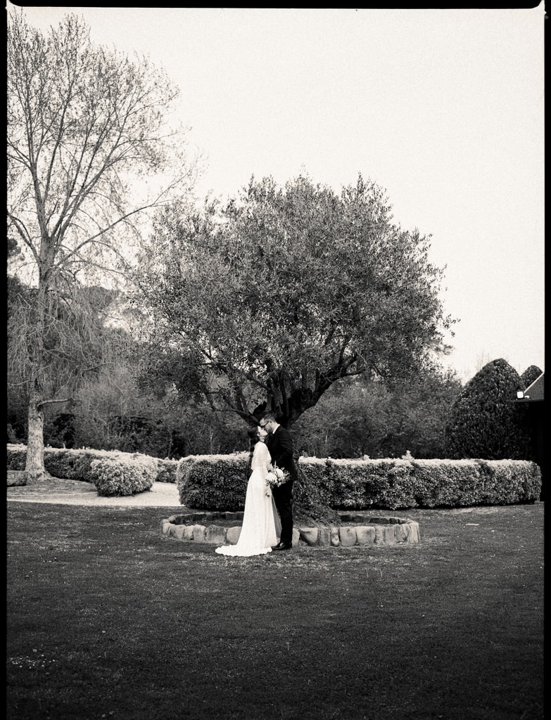 Black and white film-style shot of the couple standing small beneath an olive tree on a wide lawn, wedding photography in Catalonia